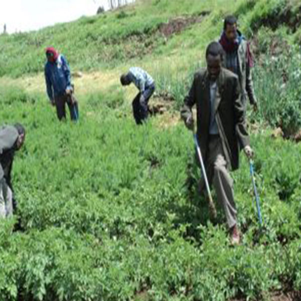 Image showing a man with walking disability farming