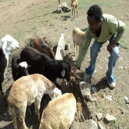 Image showing HPD-O’s assistance to a herder